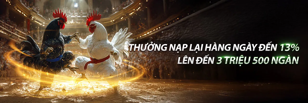 Các chương trình khuyến mãi hấp dẫn tại 123b code